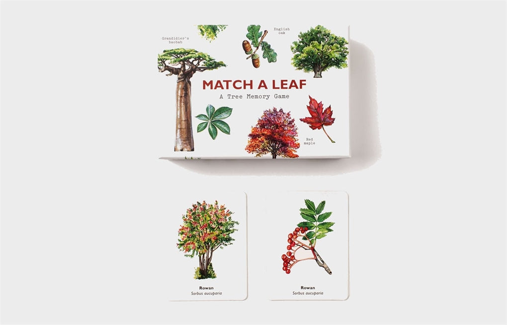 Match a Leaf memory game box and two Rowan tree matching cards showing full tree and berry close-up illustrations.
