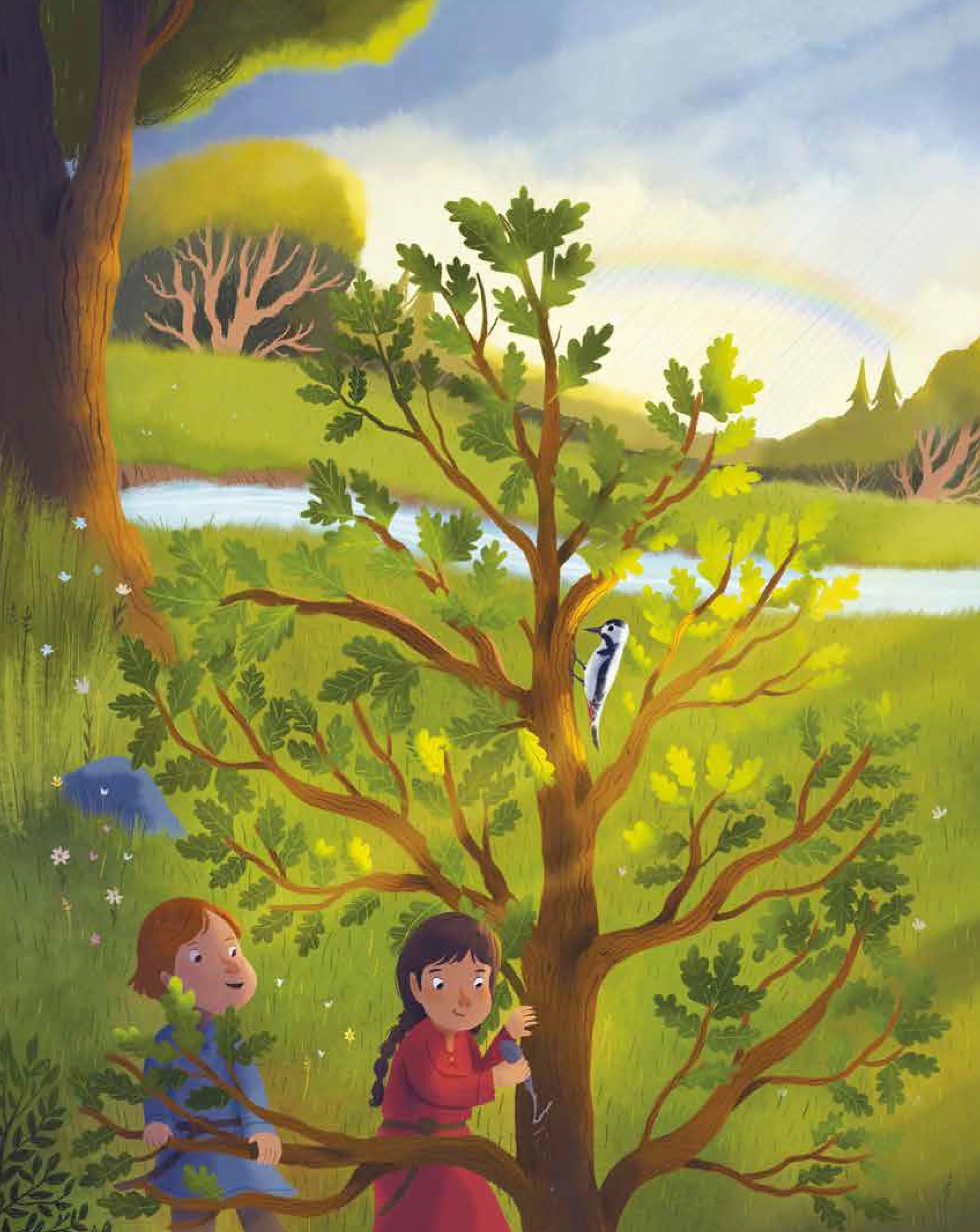 The Oak Tree book illustration showing two children sitting in oak branches with a woodpecker and rainbow