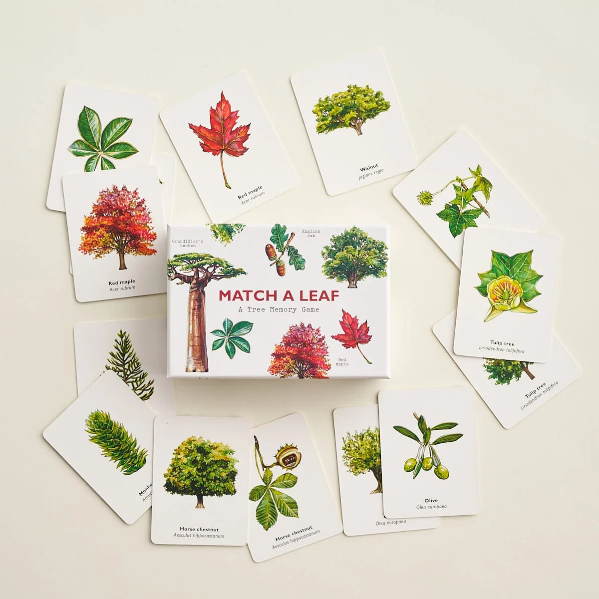 Match a Leaf memory game white box with 14 illustrated botanical cards fanned out, showing tree and leaf pairs