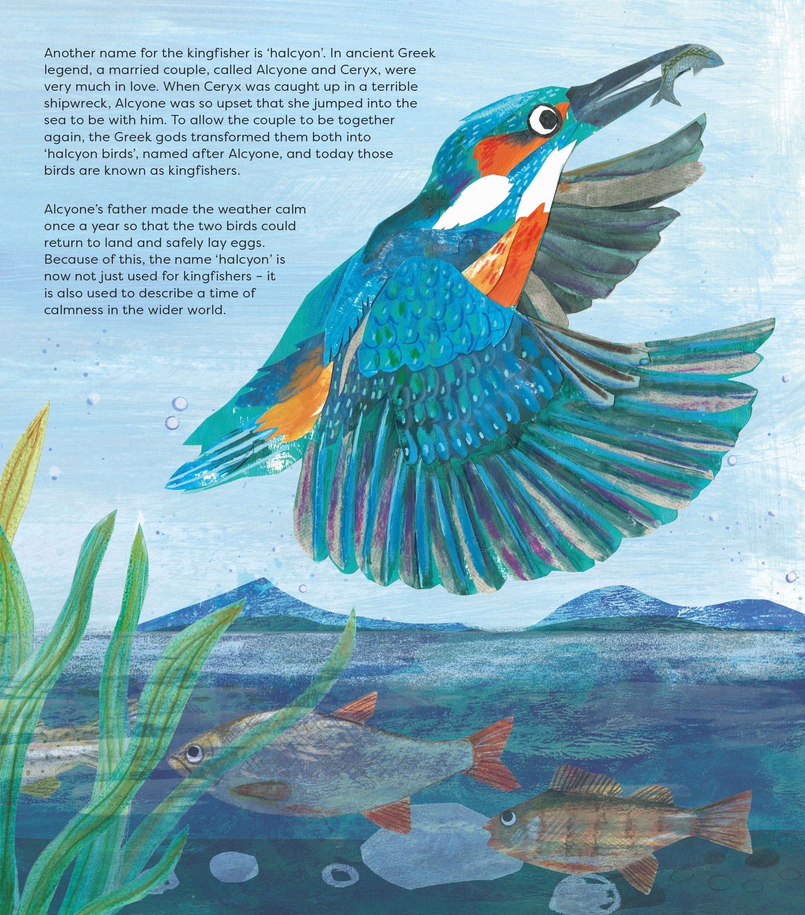 Birds of a Feather book spread showing kingfisher illustration and halcyon Greek mythology text