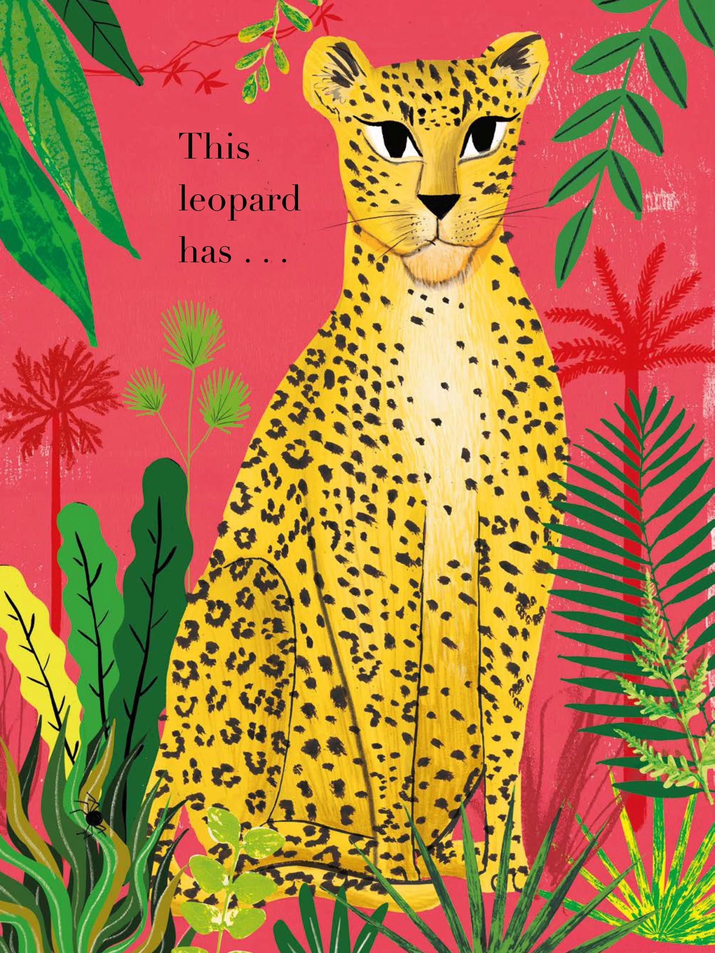 Counting Creatures book front cover illustration featuring a stylised leopard among tropical jungle foliage on a coral-pink