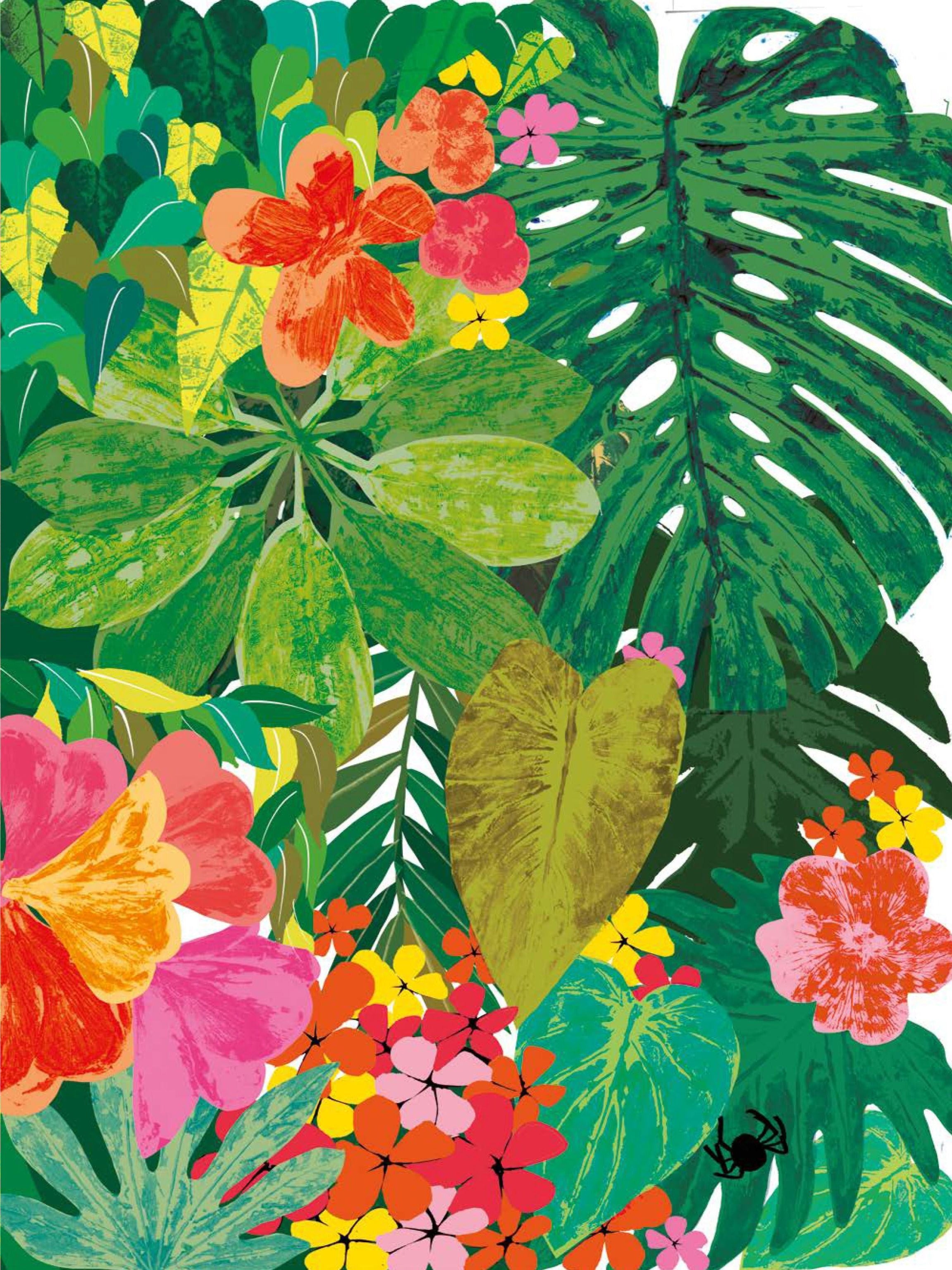 Counting Creatures book cover by Julia Donaldson, tropical jungle illustration with lush leaves, colourful flowers and spider