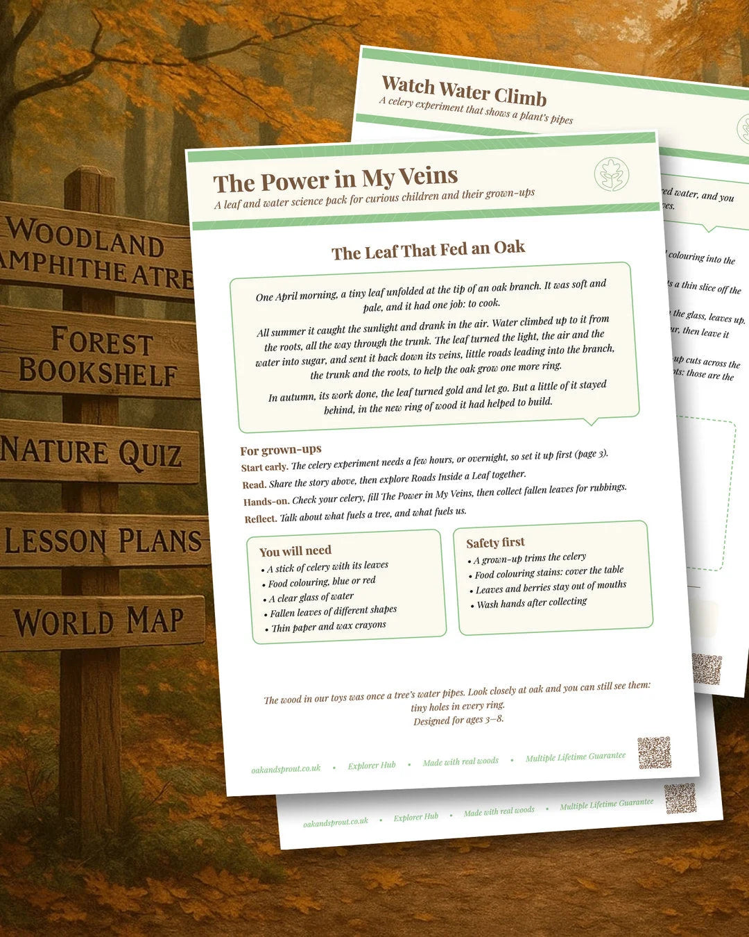 Power in My Veins science pack: printed activity sheets with leaf story and celery experiment, autumn woodland backdrop