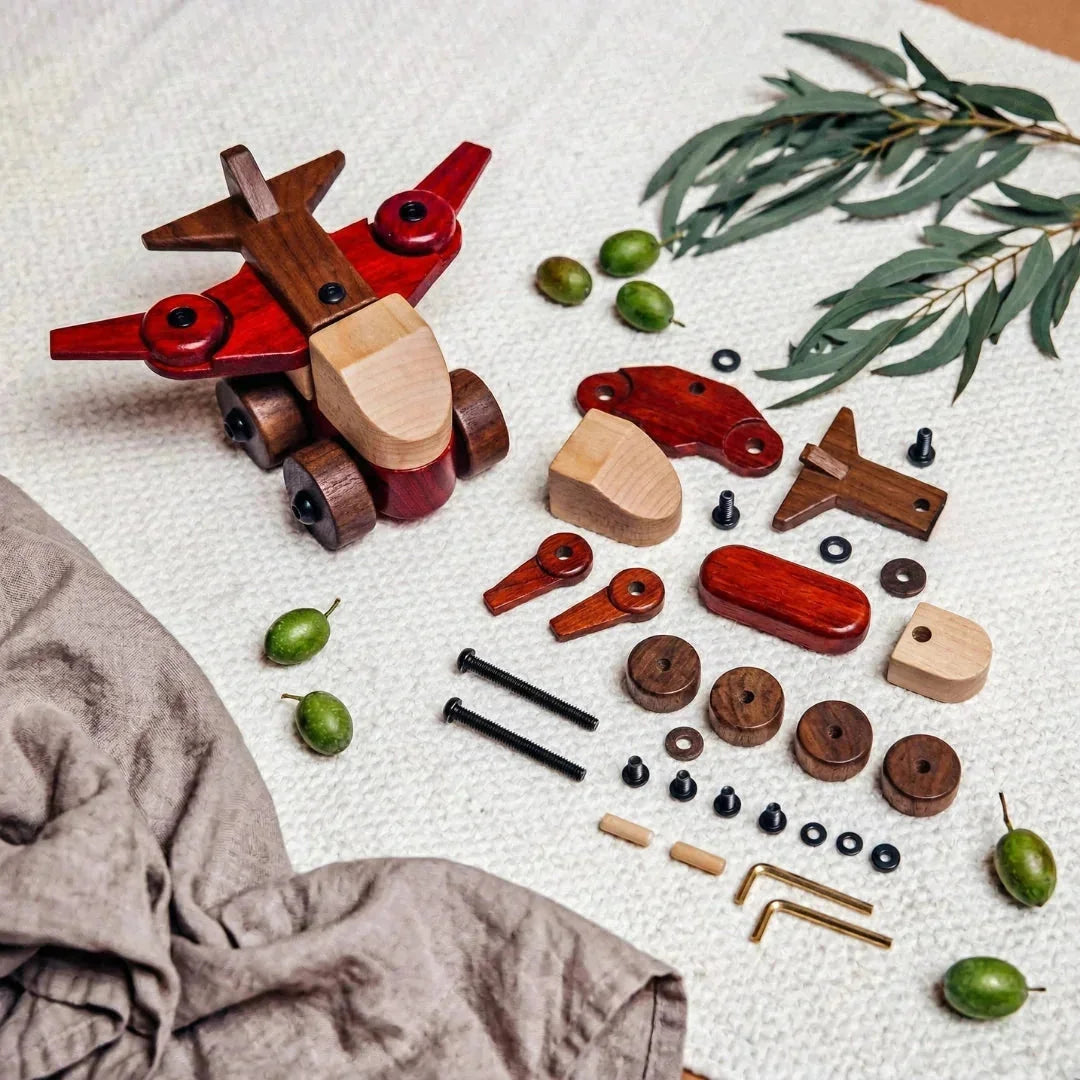Oak & Sprout wooden airplane kit assembled and disassembled flat-lay showing padauk, walnut, and maple parts with brass hex