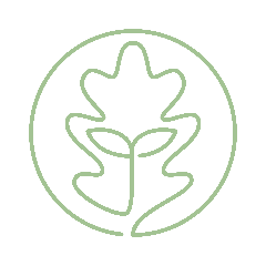 Green leaf icon in a circle on a white background